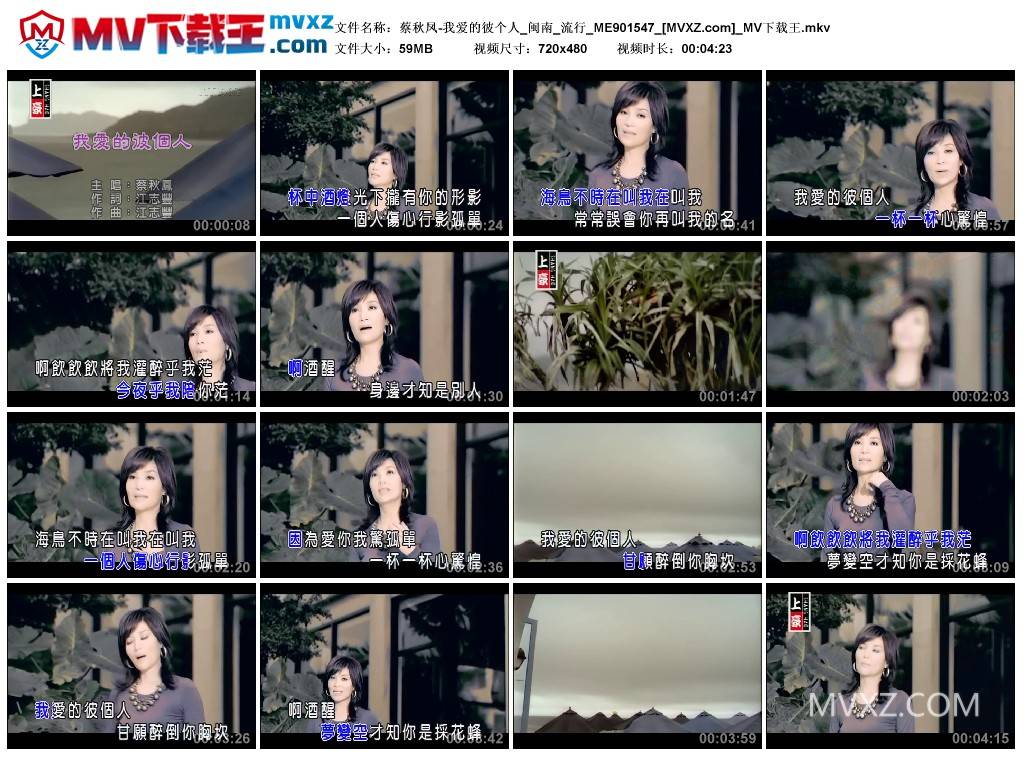 蔡秋凤-我爱的彼个人_闽南_流行_ME901547